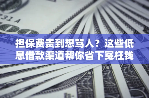 北京担保费贵到想骂人？这些低息借款渠道帮你省下冤枉钱