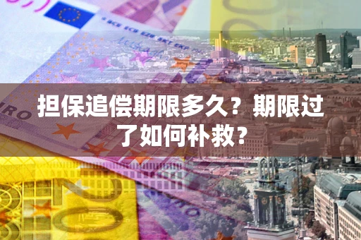 北京担保追偿期限多久？期限过了如何补救？