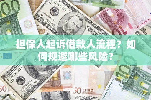 北京担保人起诉借款人流程？如何规避哪些风险？