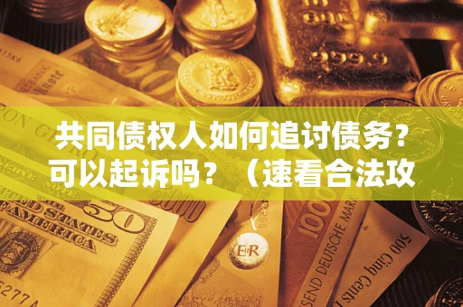 北京共同债权人如何追讨债务？可以起诉吗？（速看合法攻略）