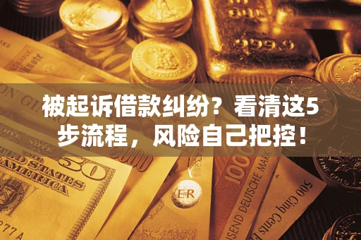 北京被起诉借款纠纷？看清这5步流程，风险自己把控！